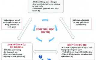 Sinh thái học đô thị: Nhận thức vì đô thị bền vững