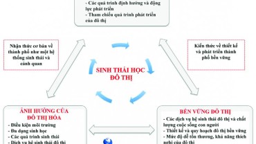 Sinh thái học đô thị: Nhận thức vì đô thị bền vững