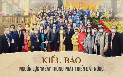 Người Việt Hải Ngoại (kiều bào)