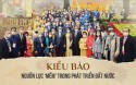 Người Việt Hải Ngoại (kiều bào)