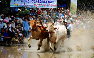 Lễ hội các dân tộc Việt Nam