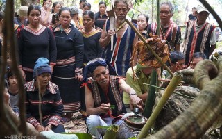 Lễ cúng 'thần rừng' của người Jarai ở Tây Nguyên