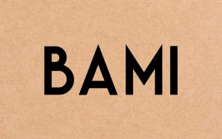 The Bami Lab