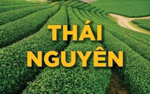 Nông nghiệp, lâm nghiệp và thủy sản Thái Nguyên