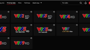VTV khu vực và địa phương