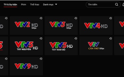 VTV khu vực và địa phương